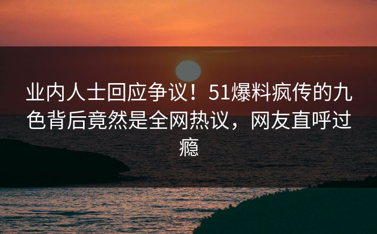业内人士回应争议！51爆料疯传的九色背后竟然是全网热议，网友直呼过瘾