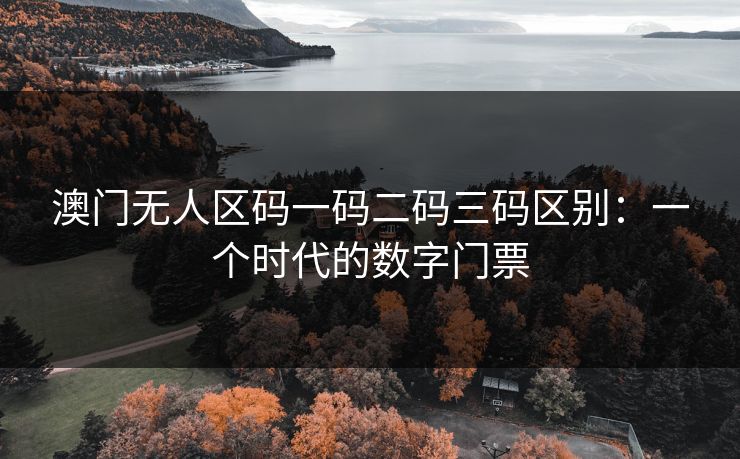 澳门无人区码一码二码三码区别：一个时代的数字门票