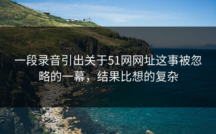 一段录音引出关于51网网址这事被忽略的一幕,结果比想的复杂